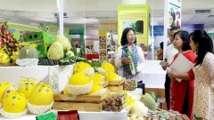 Potential for&nbsp;developing electronic cooperative models