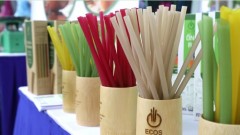 Eco-labeling gives Vietnam green passport to global markets: experts