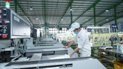 Viet Nam: Optimistic but cautious outlook for long-term growth