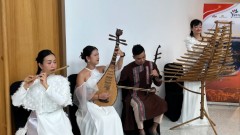 Vietnam boosts tourism promotion efforts in India