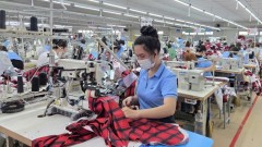 Enterprises strive to expand markets