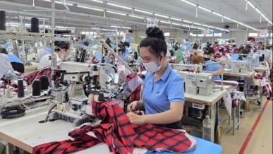 Enterprises strive to expand markets