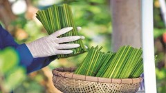 Viet Nam seeks solutions to promote green and sustainable marketing and consumption