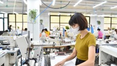 Viet Nam races to green its supply chains amid global standards