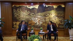 Vietnamese and Brazilian firms seek new opportunities for&nbsp;agriculture and commerce cooperation