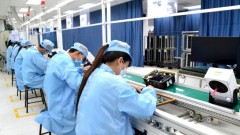 Empowering Vietnamese Enterprises