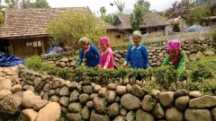 Agricultural Tourism in Lai Châu – A Journey Connecting Nature and Cultural Identity