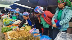 Colours of autumn at Muong Khuong market