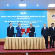 Expanding High-Quality Investment Cooperation between Vietnam and China
