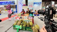 Cross-border e-commerce – A driver of national exports