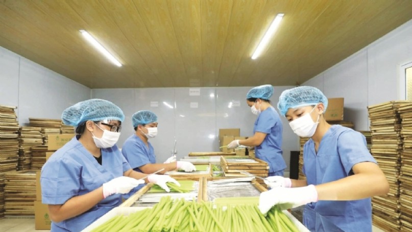 Efforts to Expand 5-Star OCOP Products