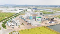 Sustainable Development: A Long-Term Commitment of the Ba Ria-Vung Tau Area (HCM City)