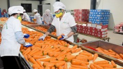 Viet Nam promotes export of Halal products to Türkiye