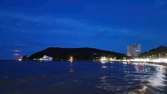 Application of AI in marine biodiversity conservation