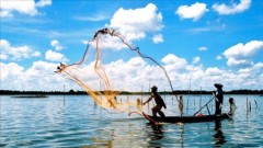 Green Aquaculture – the Key to Sustaining Export Competitiveness