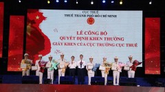 HCM city Tax Department accompanies businesses