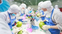 Government outlines key measures to boost Viet Nam’s agricultural exports