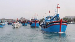 Viet Nam takes urgent measures to strengthen fisheries management