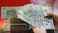 How the exchange rates impact profit margins across sectors