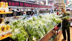 Viet Nam shapes its new competitive edge in agriculture