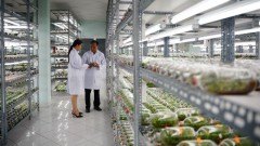 Southern hub affirms leading role in agricultural digital transformation