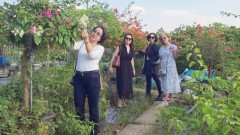 Hanoi’s new tourism package revitalizes cultural landscape