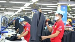 Vietnamese exporters urged to meet EU due diligence standards for&nbsp;sustainability
