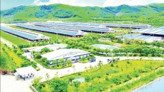 Solutions to promote ESG standard implementation in businesses