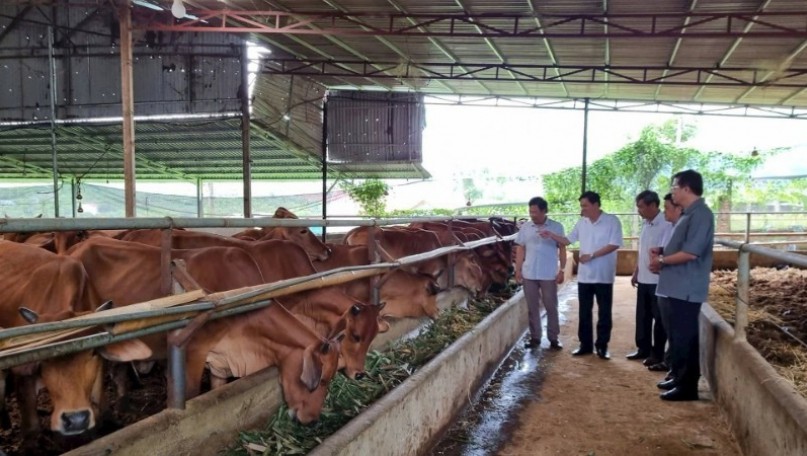 Applying new technologies in animal husbandry