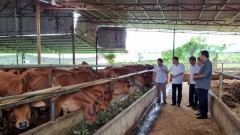 Applying new technologies in animal husbandry