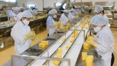 Northwest localities strive to develop raw material farming areas to meet export standards