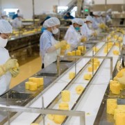 Northwest localities strive to develop raw material farming areas to meet export standards