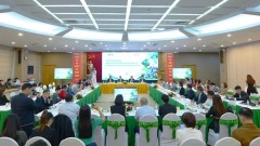 Dual transformation: A driver for sustainable economic growth