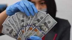 USD in global foreign-exchange reserves and expectations for&nbsp;exchange rates