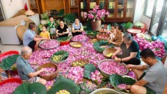 Preserving West Lake lotus tea brand