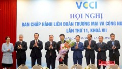Assoc. Prof. Dr. Ho Sy Hung elected the VCCI President for the 2021–2026 tenure