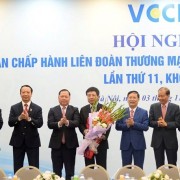 Assoc. Prof. Dr. Ho Sy Hung elected the VCCI President for the 2021–2026 tenure