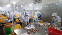 Proactive and innovative measures needed to maintain seafood export growth momentum