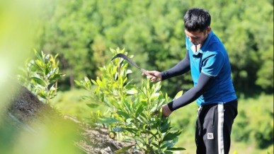 Creation of a green competitive edge for Vietnamese agricultural produce