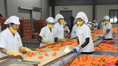 New expectations for&nbsp;fruit and vegetable sector
