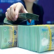 Credit growth expected to reach 20%, setting a positive tone for&nbsp;2026