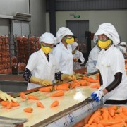 New expectations for&nbsp;fruit and vegetable sector