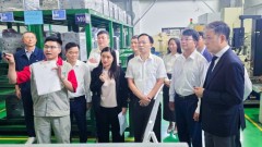 Elevating Vietnamese Enterprises in Global Value Chains