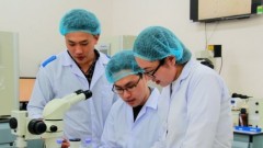 Ho Chi Minh City fosters innovative start-up ecosystem