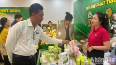 Building “Green and safe Vietnamese coconut” brand