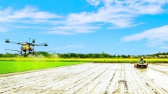 Agriculture and environment in the national green transition and sustainable development