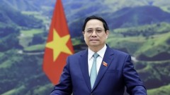 Creating strong momentum to advance Viet Nam’s relations with Kuwait, Algeria, and South Africa