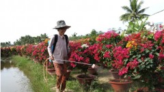 Financing the Future: A breakthrough climate initiative for the Mekong Delta