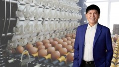 IPOs will trigger stronger foreign capital inflows