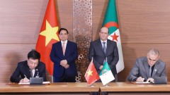 VCCI and CACI join hands to elevate Vietnam–Algeria business cooperation